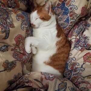 Meet your Posher, Summer